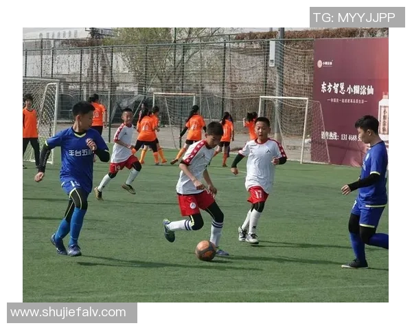 高邑足球崛起之路探索地方足球文化与青少年培养的结合之道